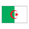 Algeria Flag Temporary Tattoo (1.5"x2")